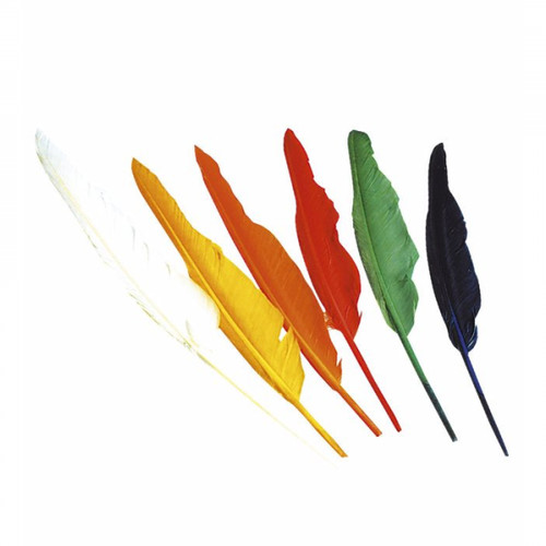 Piume indiano colorate - 12,
