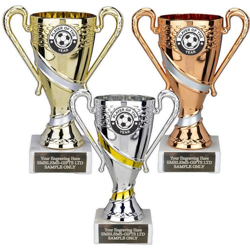 Trofeo coppa attrito - trofeo, giocatore