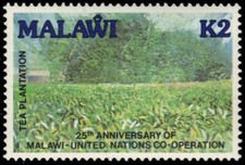 MALAWI 557 - Programma di