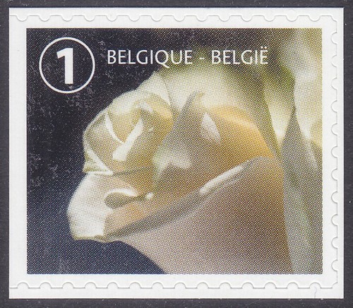 Francobollo lutto belgio 2017 - francobollo,