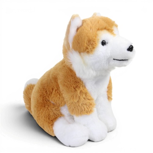 Shiba inu peluche - inu, cucciolo
