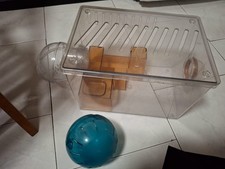 gabbietta e ball per criceti