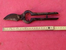 ANTICA FORBICE CESOIA DA POTA POTATURA GIARDINAGGIO D'EPOCA VINTAGE