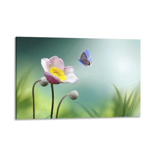 Quadro stampa tela con - quadro,