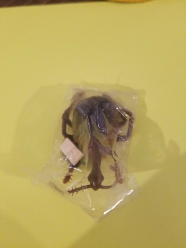 Marty toy inc 1983 insetto - marty,