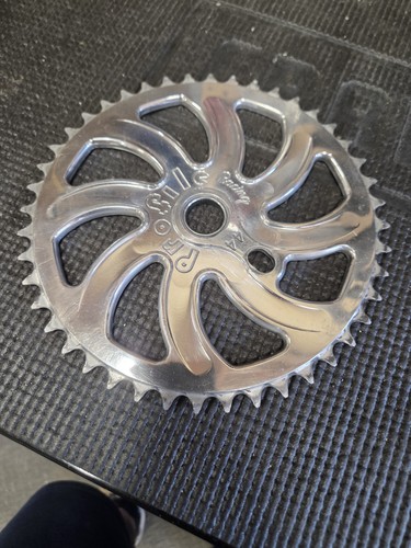 Profilo racing whippet pignone - profilo,