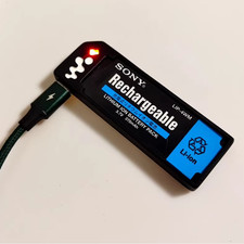 1x Caricabatteria USBC per