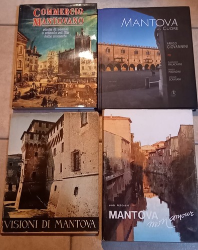 Mantova libri - mantova,