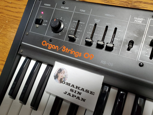 Roland organ strings 09 - roland,