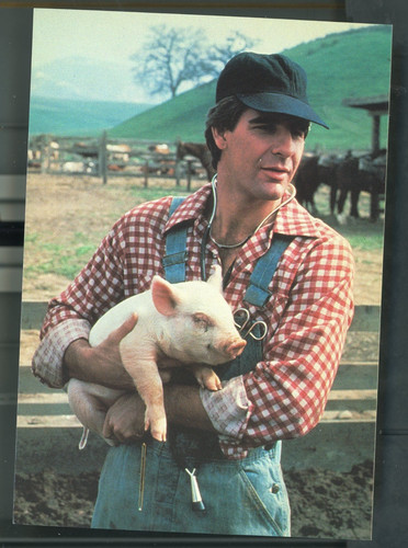 Quantum leap 1989 scott - quantum, leap-1989-scott