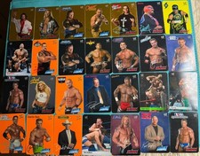 Lotto Carte Wwe Snack Down Raw World Wrestling 2004  Figure Cards
