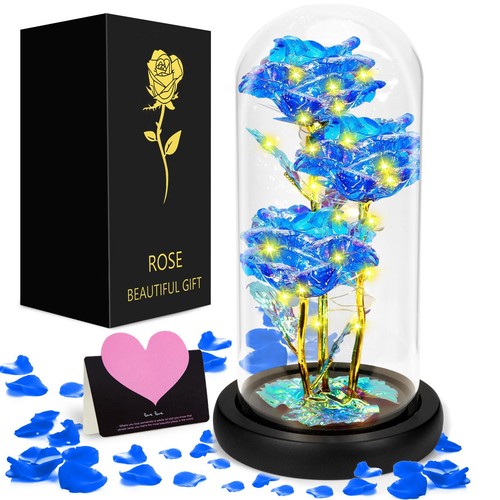 Rosa eterna bella la - eterna,