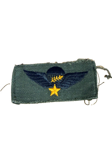 Arvn anni vietnamita - arvn,