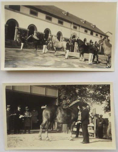 1920 1930 due foto - 1920/1930,