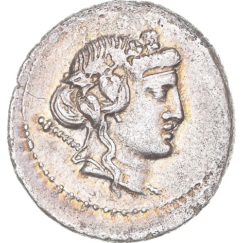 1068639 cassia denarius - [#1068639], cassia,
