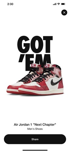 Jordan retro high - retro, og