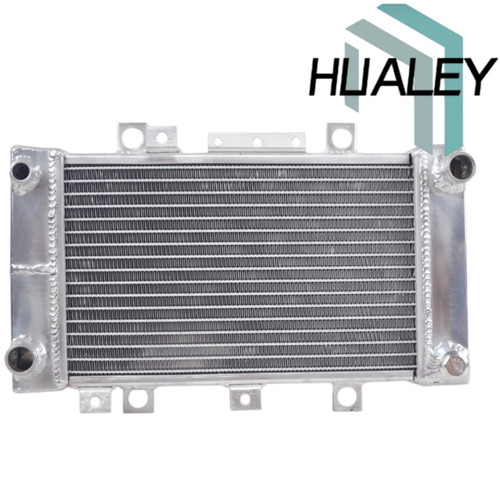 Radiatore per hyosung aquila - radiatore,