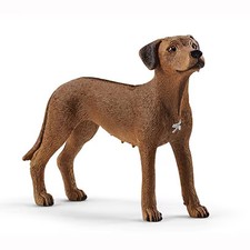 13895 Rhodesian Ridgeback Farm