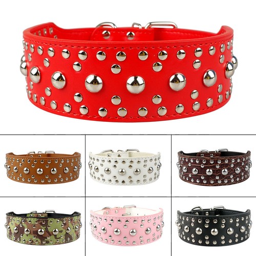 Collare cane borchiato largo - , 5