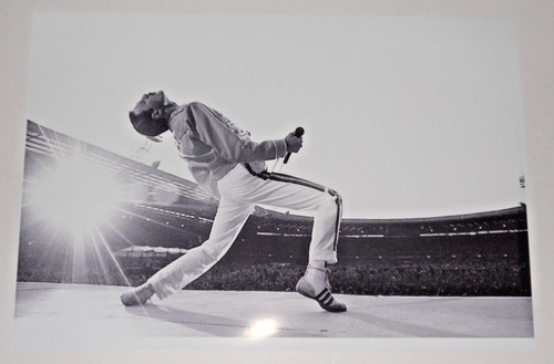 Grande poster freddie - freddie, mercury