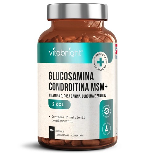 Glucosamina condroitina msm - condroitina,