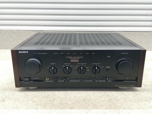 Sony f555esg integrated - ta-f555esg,