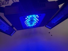 Radion XR15 Blue Gen5 Reef Marine Luce LED Spettro Completo, Crescita Avanzata dei Coralli