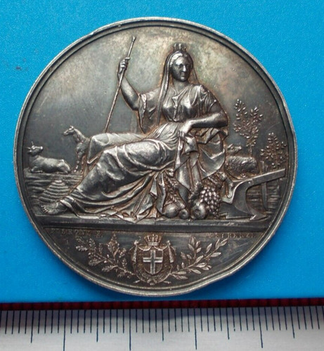 Regno italia medaglia - d', italia-