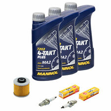 Kit Revisione Olio 3L Per Yamaha XVS 650 Dragstar 1997-2007 Filtro Olio + Candele