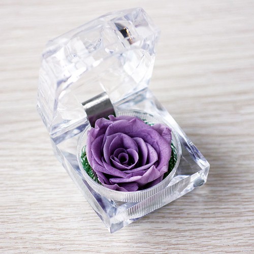 Decorazioni anniversario - ,