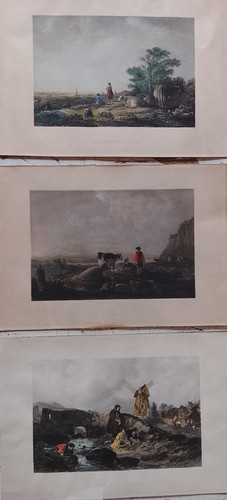 Litografie antiche inglesi - 3,