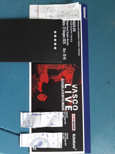 Biglietti concerto vasco - 2,