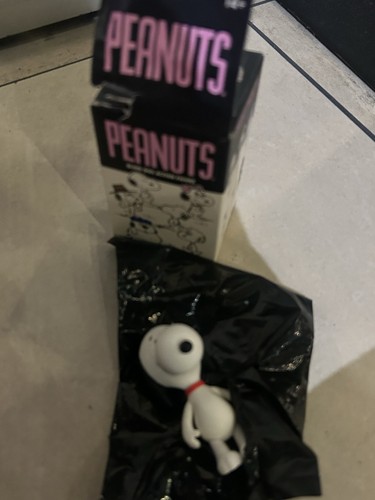 Peanuts siblings super blind - peanuts,