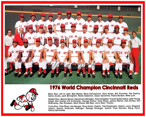 Mlb 1976 campione del - campione,