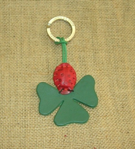 Coccinella quadrifoglio - coccinella,