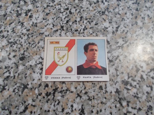 STEMMA/SCUDETTO-PIANTA