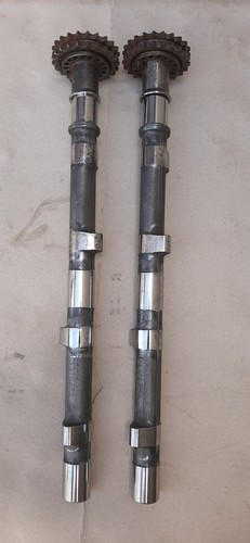 Alberi cammes alfa - a,