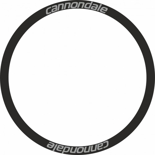 cannondale adesivi ruote