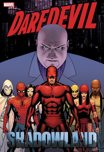 Daredevil shadowland omnibus - daredevil:,