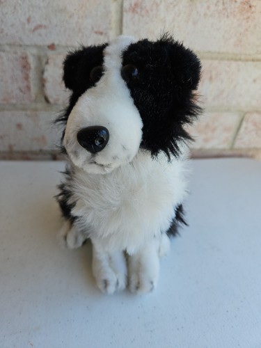 Border collie cucciolo cane - border,