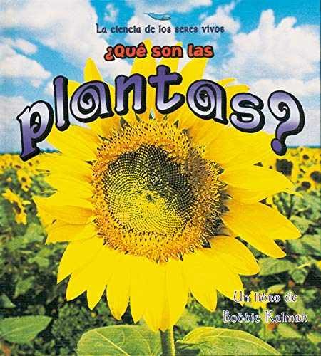 Que son las plantas what - son, /