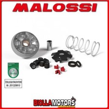 517075 variatore malossi - variatore,