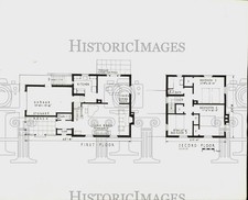 1940 Stampa Foto Piante della