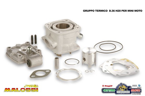 Gruppo termico malossi - mhr, d