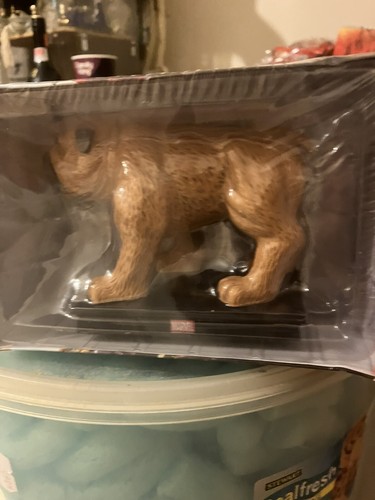 Marvel avengers animal - marvel,