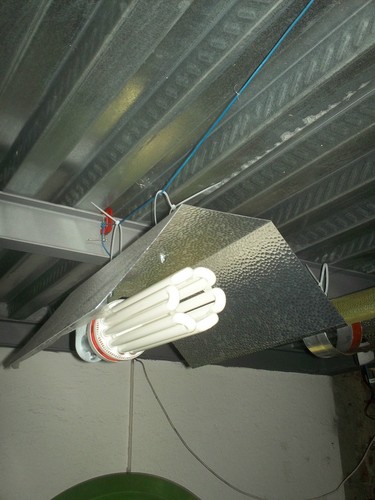 Kit cfl illuminazione indoor - illuminazione,