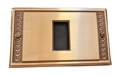 Placca copri interruttore - placca,