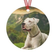 Dogo Argentino Metal