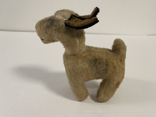 Vecchio artista peluche cane