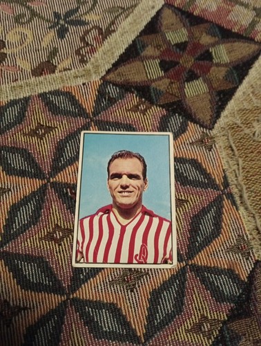 Figurina panini calciatori - panini,